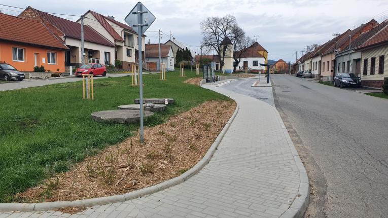 výsadba dřevin