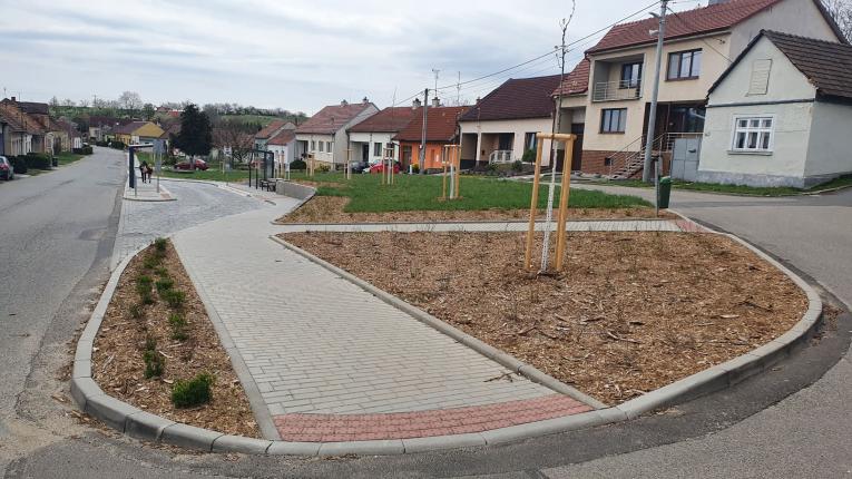 výsadba dřevin
