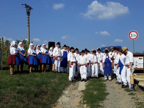Zarážání hory 2019