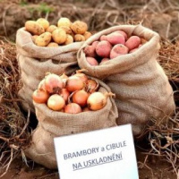 Prodej brambor a cibule 1